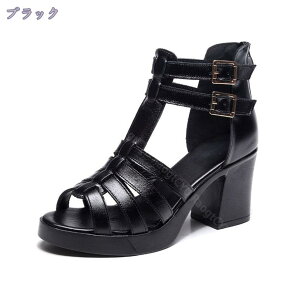 777~OFFN[| `L[q[ T_ fB[X v OfBG[^[T_ obNWbp[ T_ 傫TCY  x[W T}[u[c ₷ nCq[ Xg