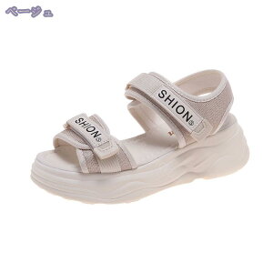 500~OFFN[| T_ fB[X Xj[J[T_  T_ X|[c I[vggD ₷ ɂ  r  Vv 傫TCY ʊw ʋ r[`