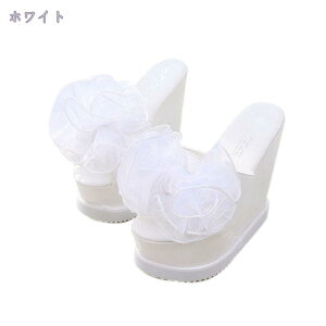 T_ fB[X ₷ s  EFbW\[ ~[ RtH[gT_ T{T_ fB[X I[vgD tbgtH[ T_  dC Raog