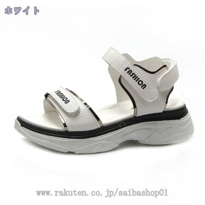 X|[c T_ fB[X X|[cT_  Ȃ ₷ p r JWA RtH[gT_  X|T 傫TCY }WbNe[v ₷ w