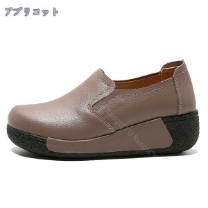 500~OFFN[| fB[X tbgV[Y K _ Xb| pvX ₷ [q[ JV V[Y v i[XV[Y pu U[  RtH[g d U rW