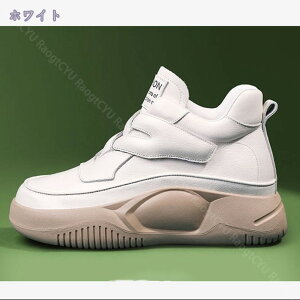 500~OFFN[| fB[X}WbNe[vXj[J[ Xj[J[ fB[X Xj[J[ gAbv ʋC UP }WbNe[v EH[LO WMO jO V[Y 