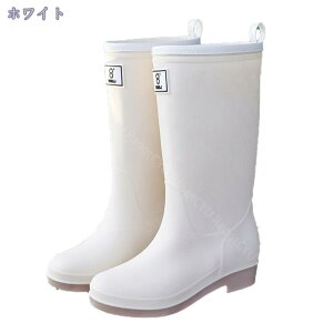 500~OFFN[| Cu[c CV[Y fB[X O C u[c O WbL[  JC  Ȃ h ʋ ʊw y ₷ y h RtH[g J 