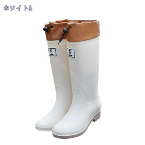 500~OFFN[| Cu[c CV[Y fB[X O C u[c O WbL[  JC  Ȃ h ʋ ʊw y ₷ y h RtH[g J 