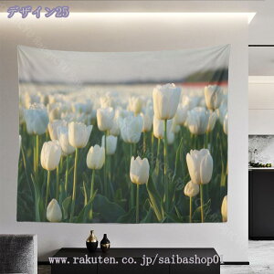 777~OFFN[| `[bv ^yXg[ i^yXg[Ǌ| ԃ^yXg[ @\Ǌ| t[ wi |p^yXg[ ԏt z _ȃA[g CX^f Q 