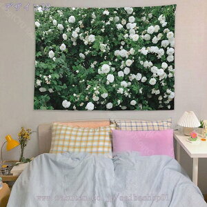 460~OFFN[| ̓ ^yXg[  t[ Ǌ| CeA A t@ubNi @\   Mtg ̓Mtg z|X^[ JtȉԂƖ؁X k^yX