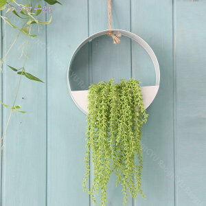 500~OFFN[|  ݂艺 Ǌ| k  VNt[ ԑ lHϗtA {  Mtg v[g 蕨  ̓ Be o [J   t