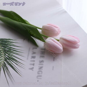 300~OFFN[|  `[bv sN   tFCNt[ u[P ԑ  킢 CeA CeAG Be ֏ j  p[eB[ `[bv