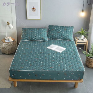 1000~OFFN[| ėp~pbh ؍ {bNXV[c Z~_u xbhpbh ЂV[c VO ċGp y Ђ~pbh ~ߕt xbhV[c Soht 