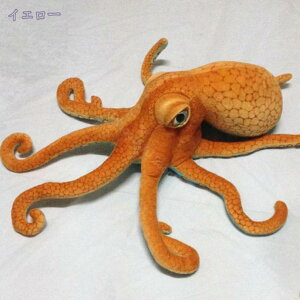 500~OFFN[|  NGCeBu ʂ  Mtgʂ ^R ʂ ^R ʂ  킢  w Q Be p[eB[ 