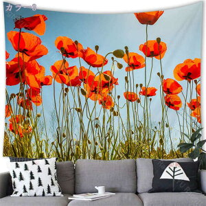 ^yXg[ iF ~ ጴ ቻ G i iF  ܂G X R a ꂢ ₩   |X^[ 傫 CX^f ObY e[N wi [g[Nwiz Raog