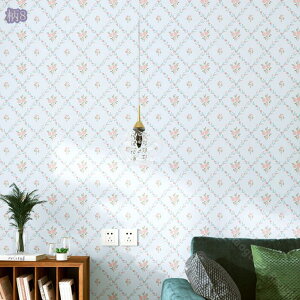 300~OFFN[| ǎV[ ԕ  ǎ h CNV[g k c  tH[V[g JbeBOV[g EH[XebJ[ ͗l ƋĐ DIY ȒP\t h