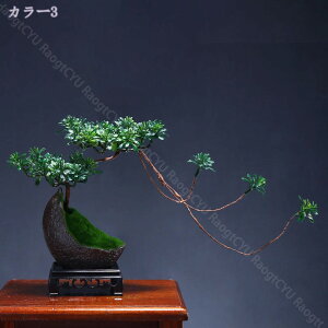 tFCNvg lHA lH~ A̖~ V~[VK[f tFCNvg lH~ ƒp ItBX V[P[X  fXNgbvfBXvC lHϗtA 