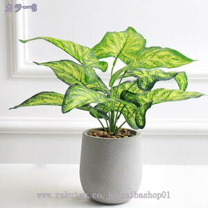 777~OFFN[| tFCNvg lHrEWV̐A ÃtFCNV̖ dx[Xt  O _ z[ ItBX  lHϗtA  lH ϗtA ԃh