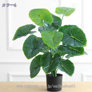 tFCNvg lHrEWV̐A ÃtFCNV̖ dx[Xt  O _ z[ ItBX  lHϗtA  lH ϗtA ԃhbgR e