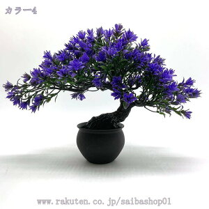 300~OFFN[| U̐A tFCNA OK[f z[ItBX̑ V~[Vc[ U̐A lH~ A̐A lHϗtA ̉Ƃ̑p̏ȐlHA ~