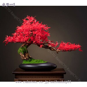 ϗtA lH lHA lHϗt V~[Vc[V~[V}~͗΂̐AAƉOtFCNO[ ^lHc[~͑i  A ƉOt