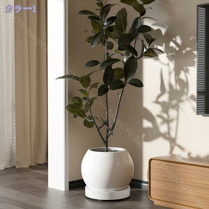 v^u LX^[t  M 󂯎M A LX^[tM ϗtA A Aؔ v^[ X^h Ehv^[X^h u u ړ  k Raog