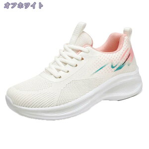 500~OFFN[| 傫TCY Xj[J[ fB[X X|[c jO ^C  Xb| EH[LO g[jO JWAV[Y C WMO  ʋ ʊw ItBX 