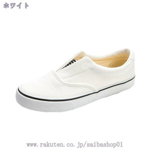 500~OFFN[| Xb| Xj[J[ fB[X [q[ EhgD  _炩 [Jbg 킢 tbgV[Y ₷ }} ʋ ʊw n ɂȂ Vv R