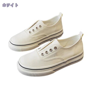 Xb| Xj[J[  [Jbg tbgV[Y 傫TCY LoX ₷ fB[X t ʋC ᔽ n [t@[ JWA RtH[g EhgD 