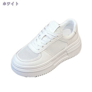 500~OFFN[| yʃXj[J[ fB[X EH[LOV[Y GA[NbV [XAbv p bV ^C  JWA X|[c qw ʋ ʊw ₷ t