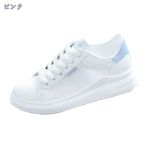 1000~OFFN[| fB[X EhgD ʋC _ y 傫TCY C tbgV[Y [XAbv Ȃ ~ wlC EH[LO Xj[J[  C JWA