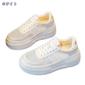 1000~OFFN[| Xj[J[ fB[X  WMO X|[c EH[LO y jO JWAV[Y ^C [XAbv 킢 20 30 40 ʋC ~ ʋ ʊw 