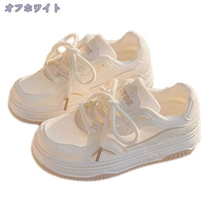 Xj[J[ fB[X  bV ^ ʋC I[V[Y r y [XAbv R [Jbg gAbv  ɂ ɂ s ʋ ʊw r tďH JWA