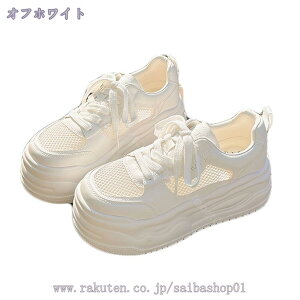 500~OFFN[| Xj[J[ [XAbv fB[X r [Jbg tbgV[Y EhgD ₷ JWA ʋC _ y [q[ C ʋ ʊw d EH[