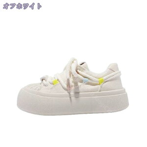 500~OFFN[| Xj[J[ fB[X LoX JCCy h ʋC [Jbg [XAbv  r [XAbv JWAV[Y [Jbg t ₷ ɂ 