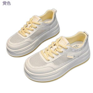 1000~OFFN[| Xj[J[ fB[X bV ʋC GA[NbV jO ʊwC r  WMO y JWA EH[LO 傫TCY gAbv i[XV