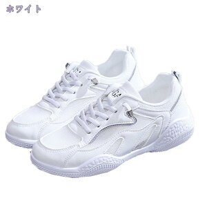 300~OFFN[| Xj[J[ fB[X  WMO X|[c EH[LO y jO JWAV[Y ^C [XAbv 킢 20 30 40 ʋC ~ ʋ ʊw 