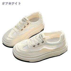 Xj[J[ fB[X y GANbV bV Ȃ JWAV[Y g[jO [XAbv EH[LO ^C r ₷  ʋC h ɂ X|[