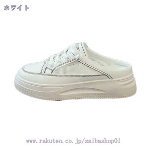 1000~OFFN[| Xb| ~[ Xj[J[ fB[X ƂȂ JWA EH[LOV[Y ₷ h ʋC y wlC ₷ [XAbv i s  