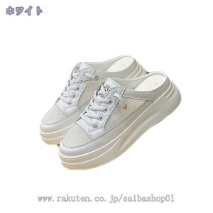 1000~OFFN[| y ƂȂ Xb| fB[X bV ʋC Xj[J[ NbOT_ n Xbp [X [XAbv  ₷ ₷ T{T