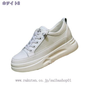 Xb| ~[ Xj[J[ fB[X ƂȂ JWA EH[LOV[Y ₷ h ʋC y wlC ₷ [XAbv i s   K y