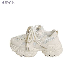 1000~OFFN[| Xj[J[ fB[X bV ʋC GA[NbV jO ʊwC r  WMO y JWA EH[LO 傫TCY gAbv i[XV