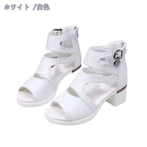 OfBG[^[T_ IV ₷T_ fB[X PU bVT_ RtH[g~[ ꂢ q[ JWA  l L 3E Wbp[ E₷