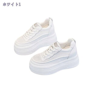 777~OFFN[| Xj[J[ fB[X V[NbgV[Y 傫TCY Cq[ EH[LO q[Abv y wC  JWA ^C ₷ Ȃ  