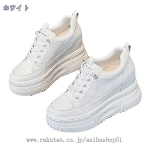 1000~OFFN[|  Xj[J[ fB[X V[NbgV[Y y EH[LO X|[c jO [XAbv r C ₷ Ȃ  ^C  킢 30