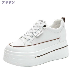 777~OFFN[|  Xj[J[ fB[X [XAbv jO JWA V[Y WjA V[NbgV[Y 傫TCY ɂȂ ₷ ʋC   C