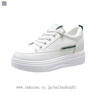 Xj[J[ fB[X V[NbgV[Y 傫TCY Cq[ EH[LO q[Abv y wC  JWA ^C ₷ Ȃ   r 