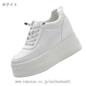 1000~OFFN[| V[NbgV[Y fB[X Xj[J[ Cq[ gup RC [XAbv ₷ Ȃ r EH[LO jO AEghA   V