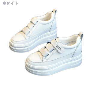 1000~OFFN[| fB[X Xj[J[  Cq[ V[NbgV[Y gAbv X|[c ₷ r ʋC Vv IV JWA EH[LO jO AE