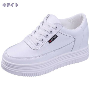 Xj[J[  n fB[X  V[NbgV[Y 傫TCY [Jbg EFbW\[ Cq[ [XAbv EHLO r    JWA 