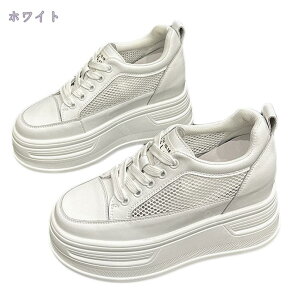 2000~OFFN[| Xj[J[ fB[X Cq[ JWAV[Y 傫TCY EH[LO WMO V[NbgV[Y [XAbv  y y q[Abv ₷