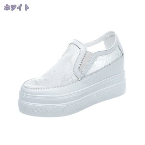 1000~OFFN[| Cq[Xj[J[ TChSA [X V[NbgV[Y JWA Xb|  fB[X Cq[ [Jbg C TCY 傫TCY gAbv 