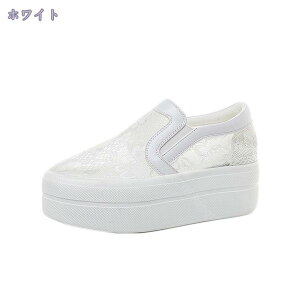 777~OFFN[| Cq[Xj[J[ ɂȂ fB[X   V[NbgV[Y gAbv EFbW\[ Xb| TChSA Xb| TCY 傫TCY y