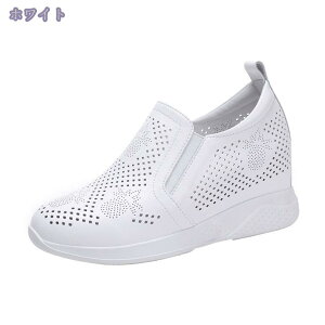 Xj[J[ Cq[ V[NbgV[Y TCY 踂 ʋC TChSA fB[X Xb| C q[ r gAbv vbgtH[ JWA  wC 